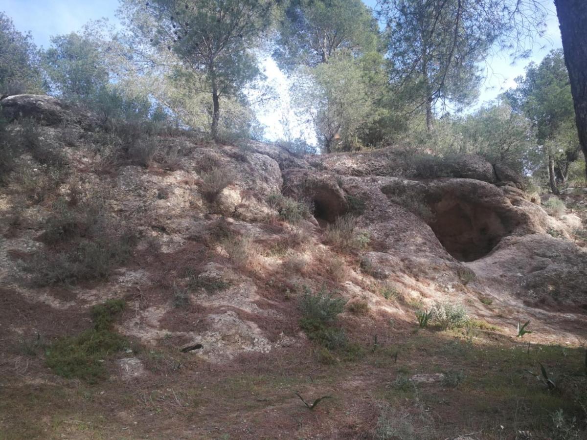 Alojamiento Rural El Paraiso Dאל צ'ורו מראה חיצוני תמונה
