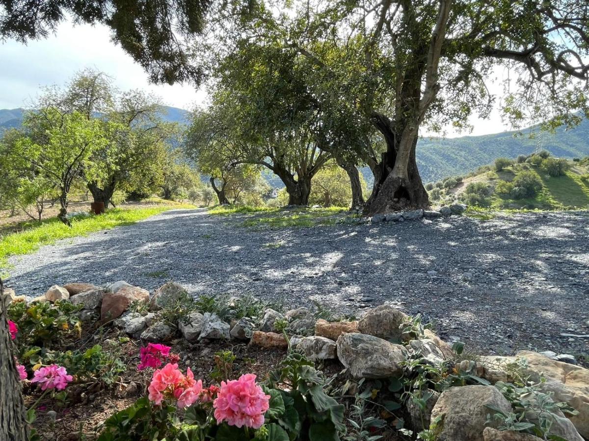 Alojamiento Rural El Paraiso Dאל צ'ורו מראה חיצוני תמונה